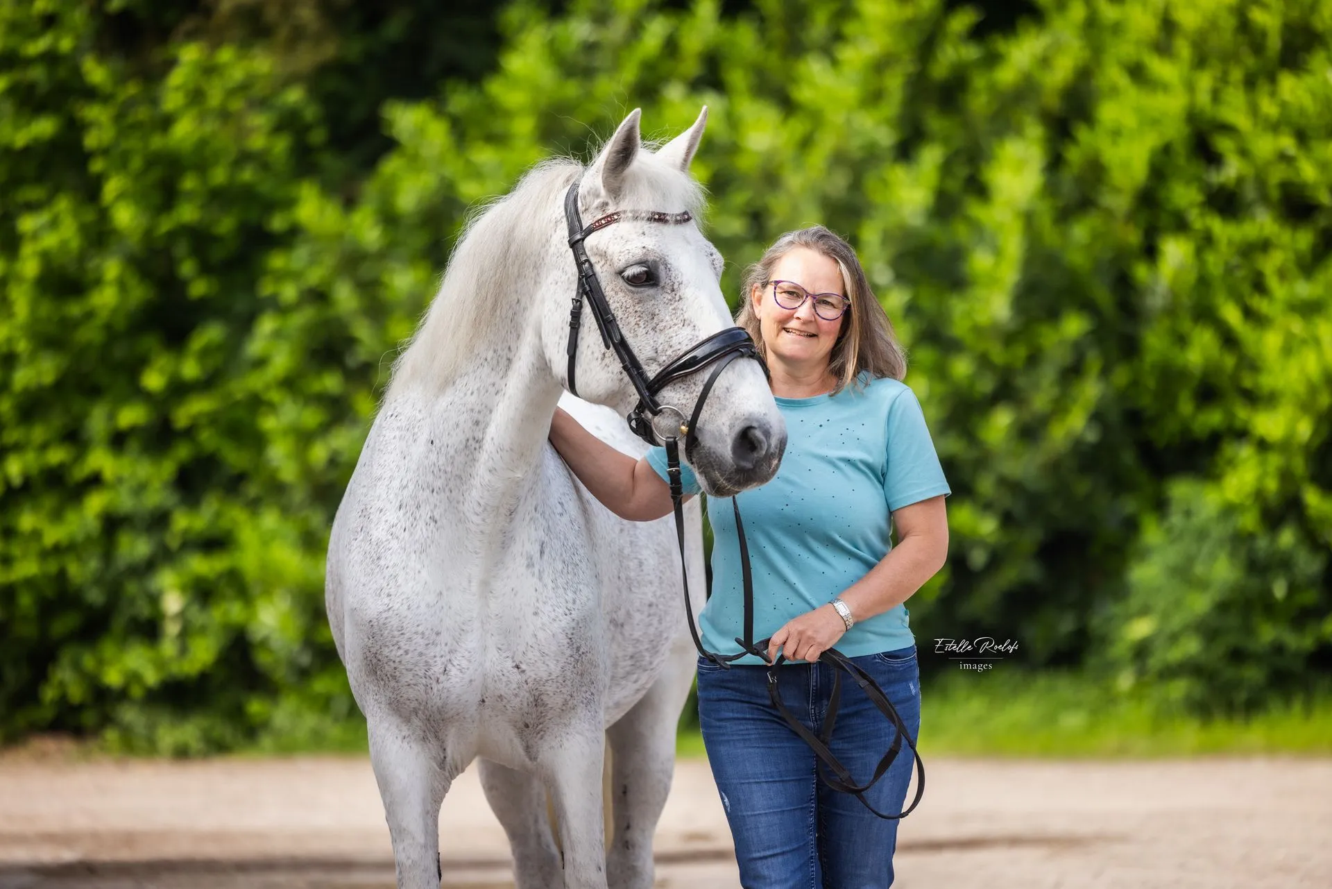 Paardencoach en paarden